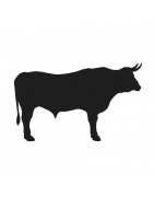 Boeuf