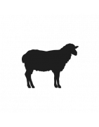 Agneau